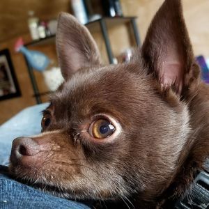 Meet your Posher, Jason